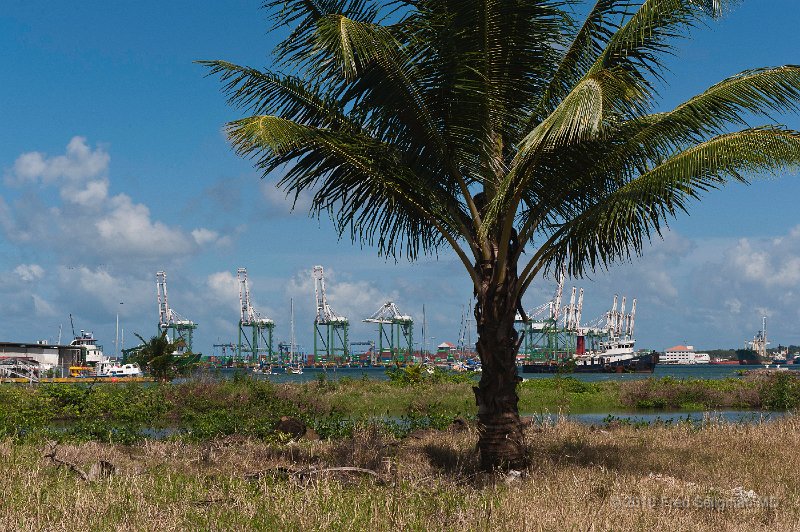 20101204_134647 D3.jpg - Cranes, Colon, Panama